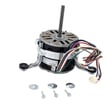 Blower Motor 904502