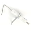 Electrode 74350