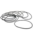 O-ring 10 1160250