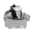 Gas Valve