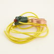 Switch for Rheem AWC-101CAS - Part 47-21604-03