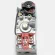 Valve R2500