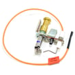 Plate Orif R6220