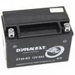 Go-kart Battery 14189