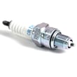 Spark Plug 50304