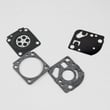 Gasket Diaphragm for Mantis 7222 - Part 12530313120