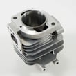 Cylinder A13000-0550