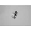 Piston Kit for Mantis 7222 - Part P021007712