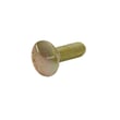 Carriage Bolt 10501