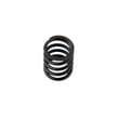 Valve Spring G13.0-F-11A-JD