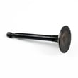 Generator Engine Intake Valve G6.5-F-05B-JD