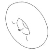 Toro Lawn Tractor Tire for Toro 13AP60RP744 (1A096B50000 AND UP) - Part 112-0608