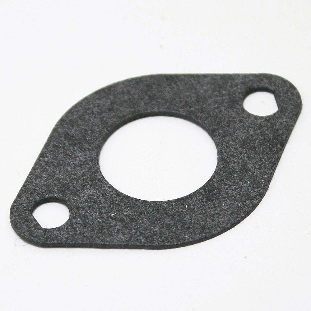 Gasket-intake