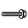 Screw, 1/4-20 X 1-1/4" TC-792073