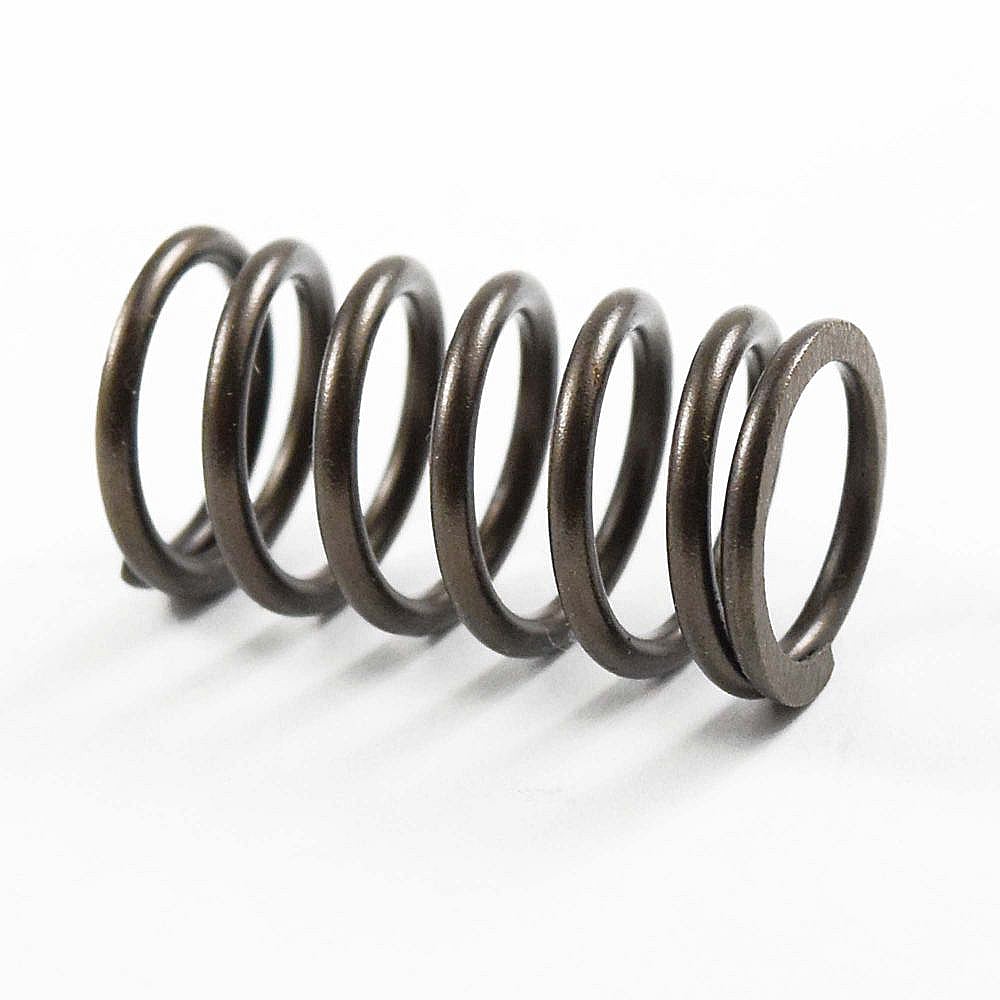 Valve Spring