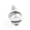 Lawn & Garden Equipment Engine Screw and Washer