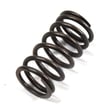 Valve Spring 33507