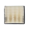 Lawn & Garden Equipment Engine Air Filter 36046