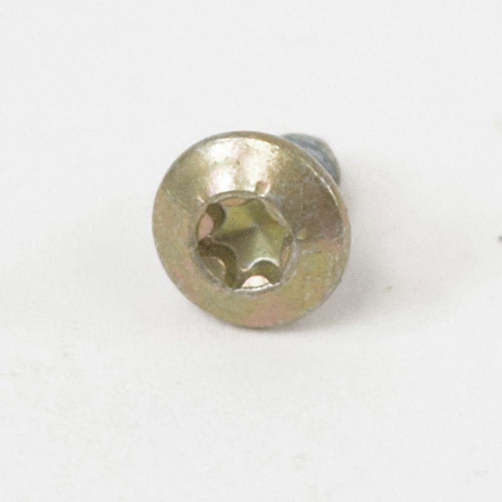 Craftsman Part #650506, Lawn & Garden Equipment Engine Screw | 0.25 x 0.25 x 0.25