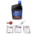 Snowblower Tune-up Kit for Craftsman 143996501 - Part 730281A