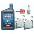 Snowblower Tune-up Kit 730305
