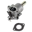 Briggs & Statton Lawn & Garden Equipment Engine Carburetor 593433