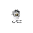 Carburetor (same As Briggs 790845, 794304,796707,799866, 799871) 262-1145