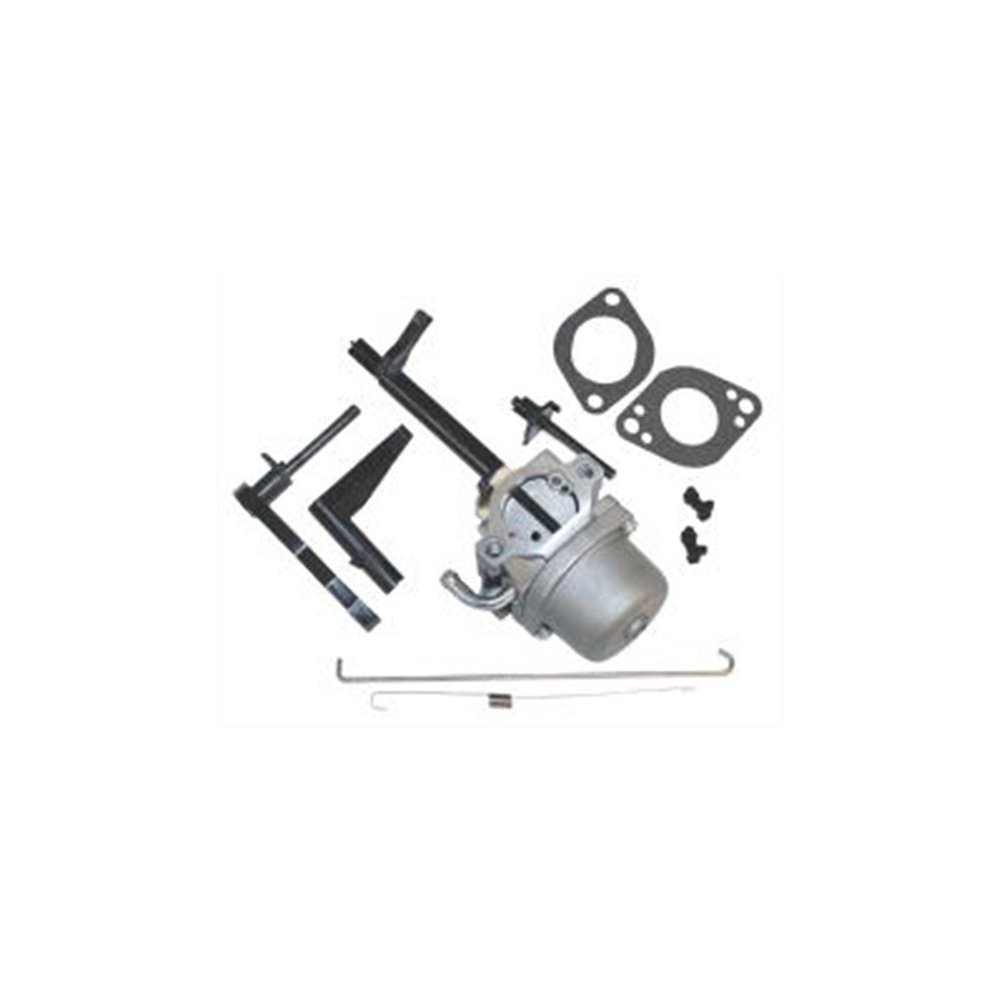 Part #262-1160, Carburetor (Same As Briggs 591378, 694952, 695328, 695330, 695918, 695919, 695920, 696132, 696133