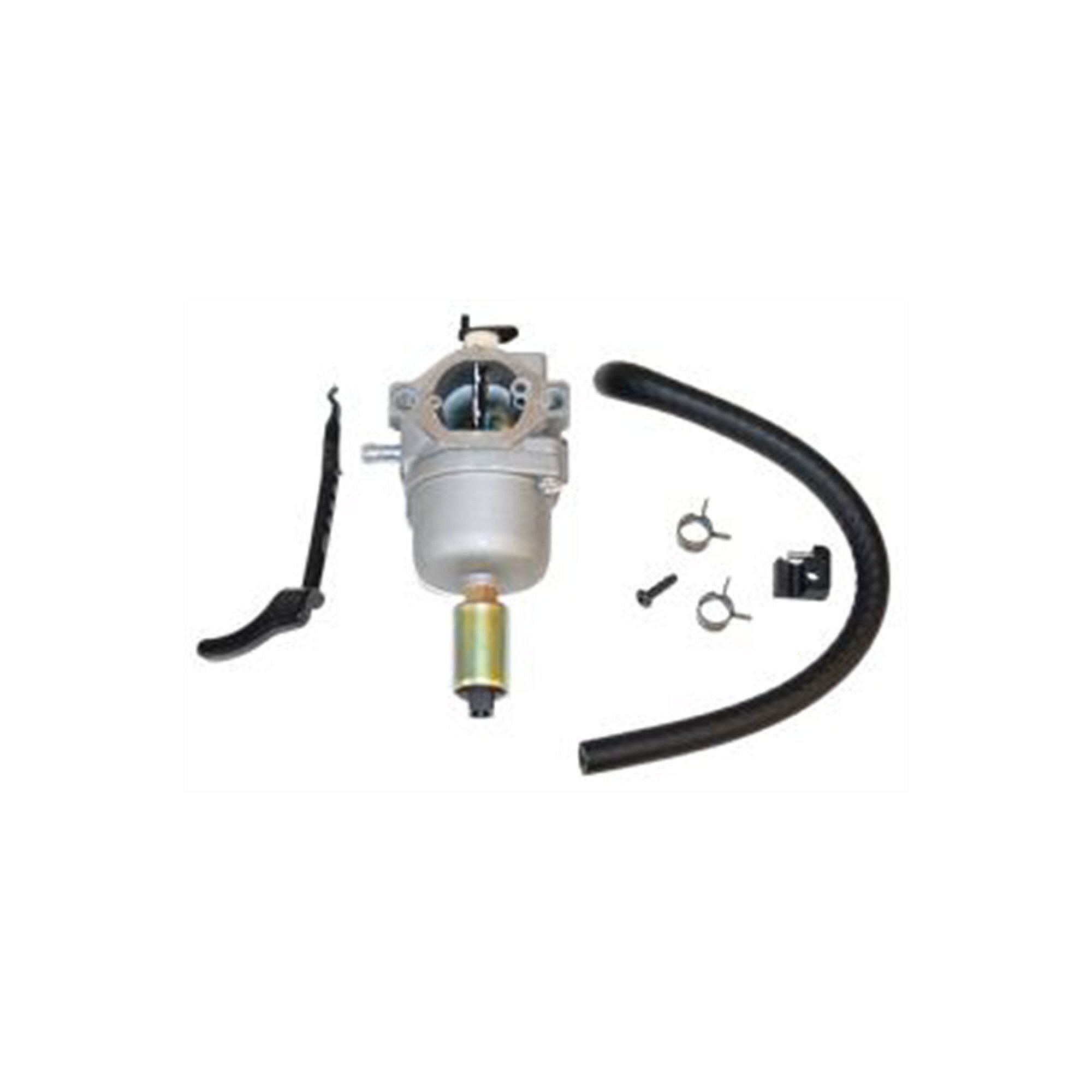 Part #262-1163, Carburetor (Same As Briggs 495935, 498061, 499153, 690194, 698620, 791886, 799727)