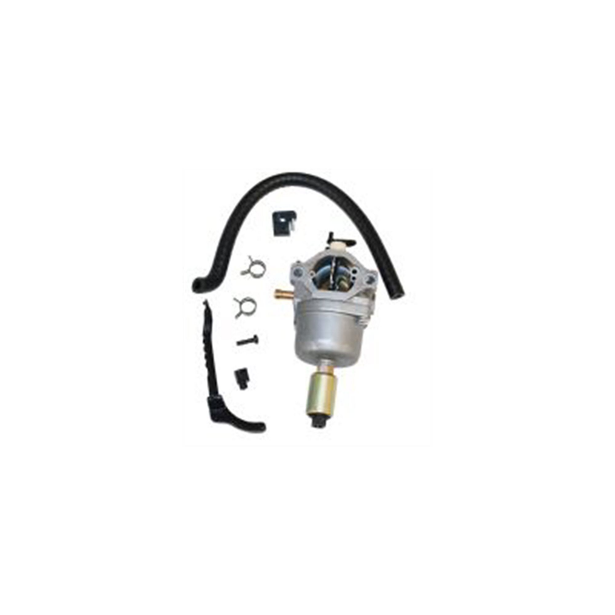 Part #262-1173, Carburetor (Same As Briggs 591734, 594603, 594605, 790023. 792768, 796110, John Deere Auc11044, Mia11200