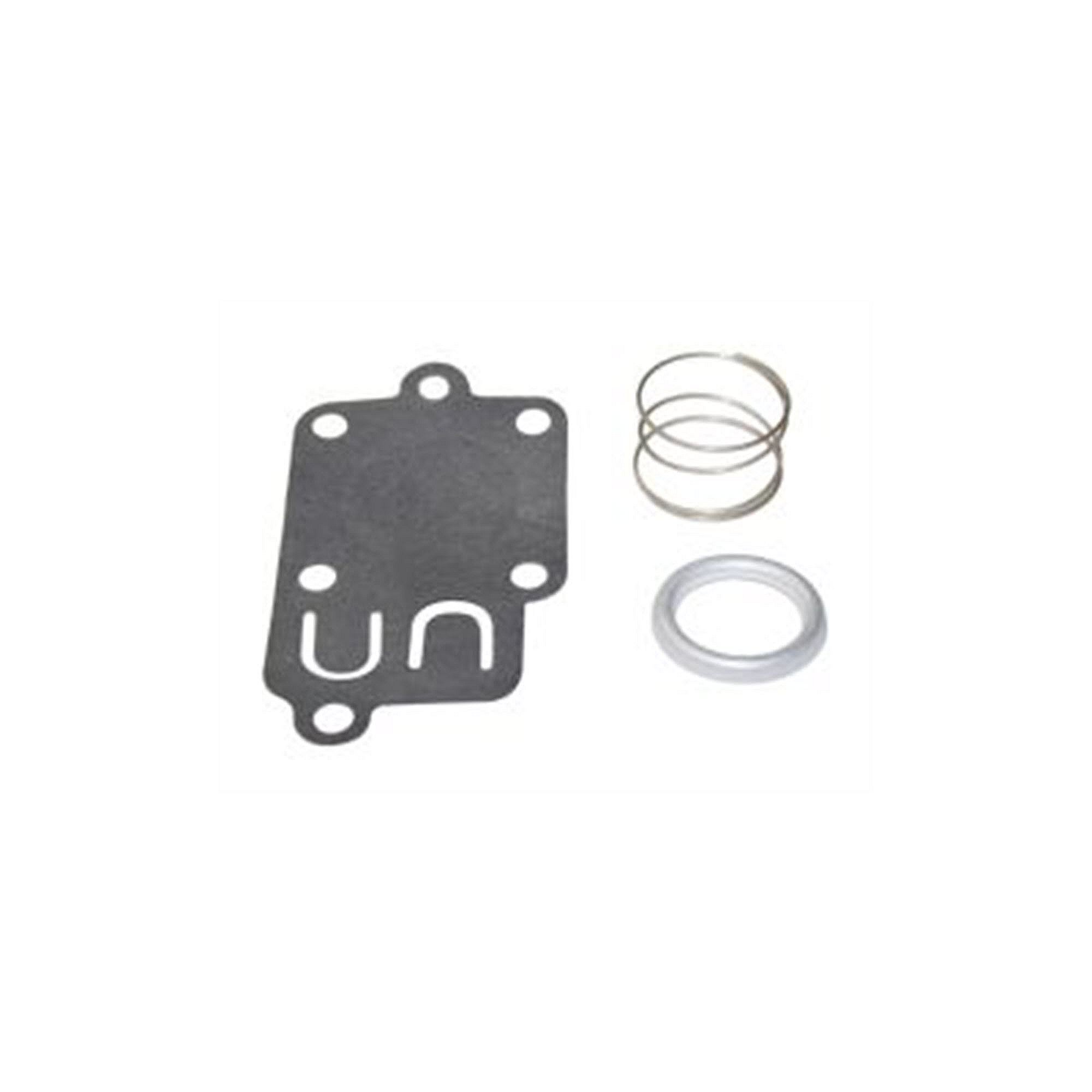 Part #262-3123, Diaphragm Kit (Same As Briggs 5021, 5021B, 5021D, 5021H)