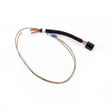 Harness Assembly 02005213