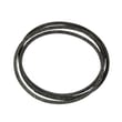 V-belt B1751597