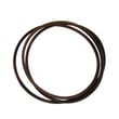 V-belt 1754702