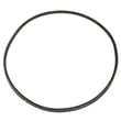 V-belt 1769830
