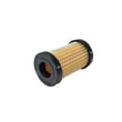 Air Filter 490-200-0020