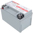 Mtd Lawn Tractor Agm Battery 725P17136