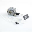 Line Trimmer Carburetor for Bolens BL3100 - Part 753-04320