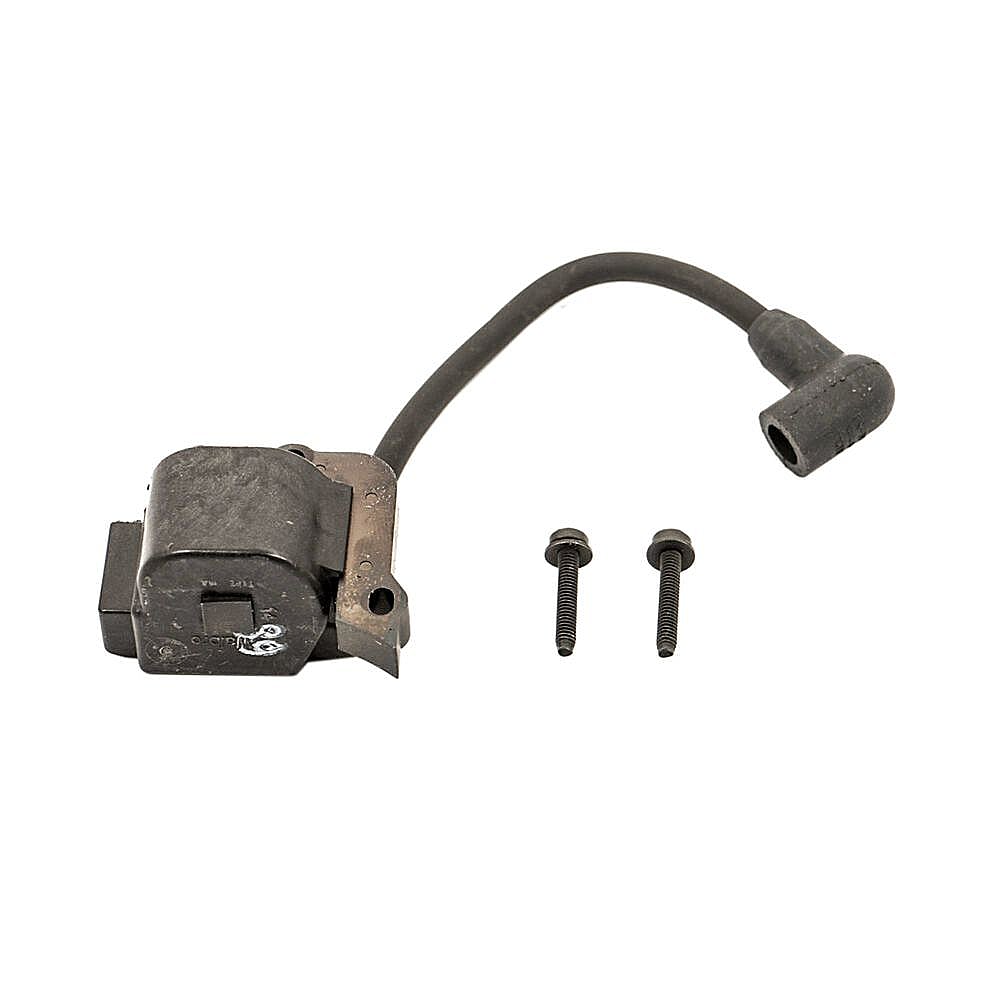 Edger Ignition Module