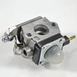 Ace Leaf Blower Carburetor 753-06753