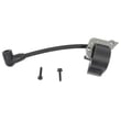 Mtd Leaf Blower Ignition Coil 753-08489