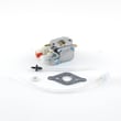 Line Trimmer Carburetor for Troybilt 41BDT75C063 - Part 753-1195