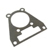 Cylinder Gasket 791-181004