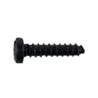 Tiller Clutch Cover Screw