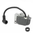 Module for Cub Cadet CC2000 - Part 791-181733