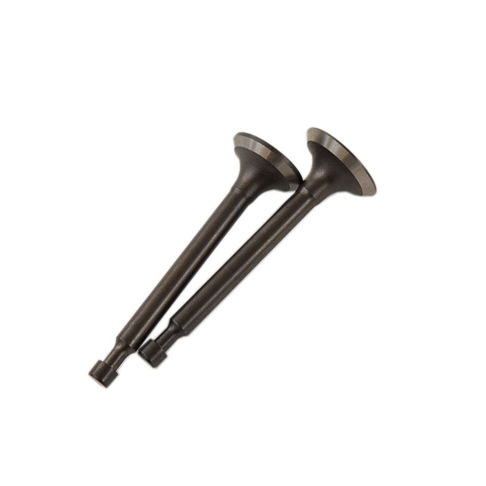 Part #951-10313, Lawn & Garden Equipment Engine Valve Set