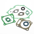 Snowblower Gasket Kit 951-10951A