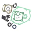 Snowblower Gasket Kit for MTD 265-JU-11 - Part 951-12028