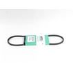 Lawn Mower Ground Drive Belt, 3/8 x 31-in