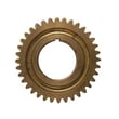 Worm Gear